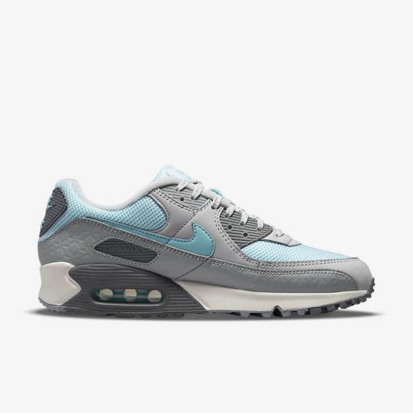 Nike Air Max 90 Muške Tenisice Sive Platine | NK075ECD