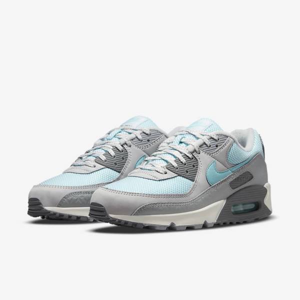 Nike Air Max 90 Muške Tenisice Sive Platine | NK075ECD