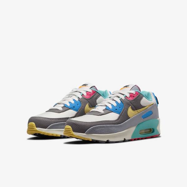 Nike Air Max 90 Older Dječje Tenisice Sive Roze | NK397HLU