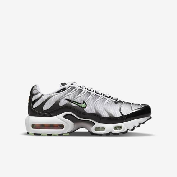 Nike Air Max Plus Older Dječje Tenisice Bijele Crne Srebrne Menta | NK369OUS