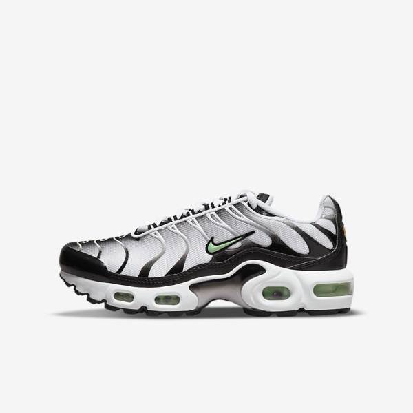 Nike Air Max Plus Older Dječje Tenisice Bijele Crne Srebrne Menta | NK369OUS