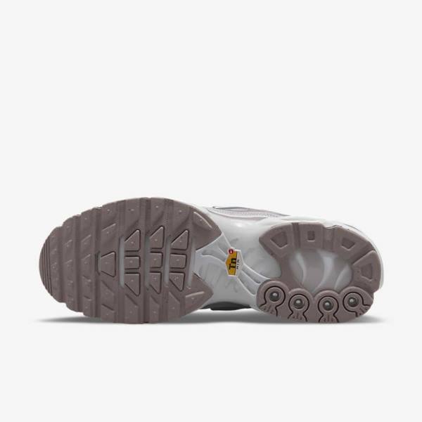 Nike Air Max Plus Ženske Tenisice Ljubičaste Bijele Metalne Srebrne | NK230EPC