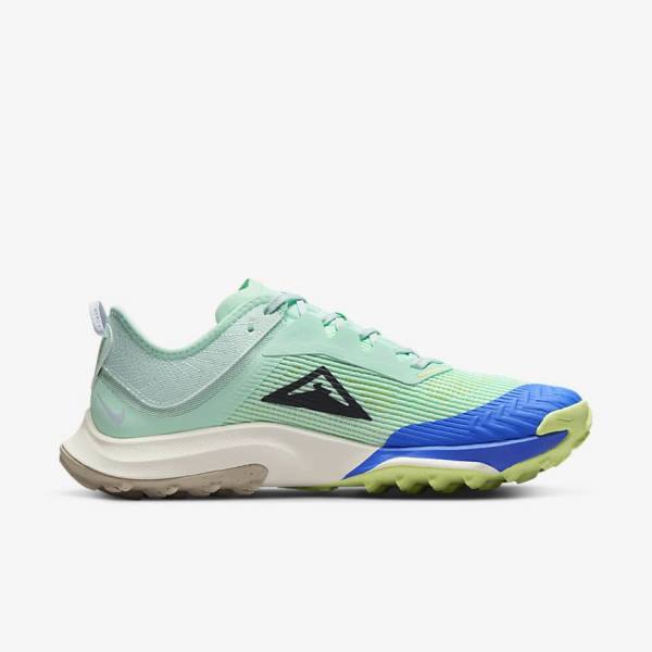 Nike Air Zoom Terra Kiger 8 Trail Ženske Tenisice Za Trčanje Menta Sive Plave | NK097KGM