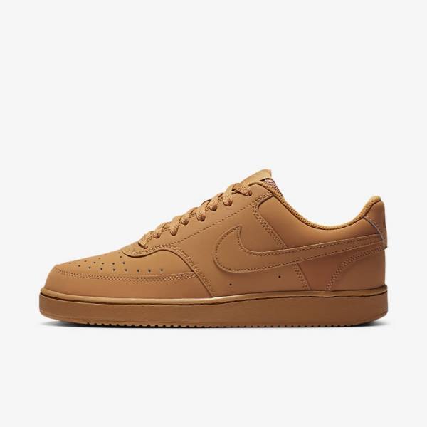 Nike Court Vision Low Muške Tenisice Smeđe | NK912TJW