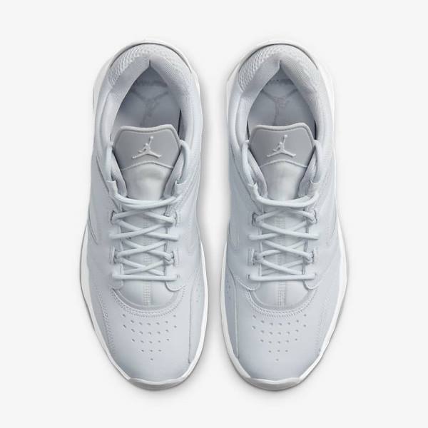 Nike Jordan Point Lane Muške Jordan Tenisice Platine Bijele Sive | NK510VRX