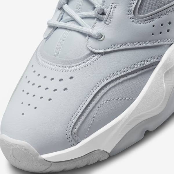 Nike Jordan Point Lane Muške Jordan Tenisice Platine Bijele Sive | NK510VRX