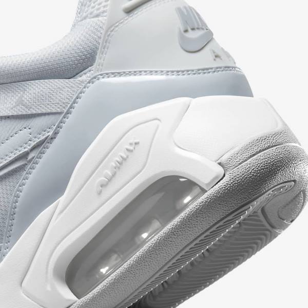 Nike Jordan Point Lane Muške Tenisice Platine Bijele Sive | NK961MCG