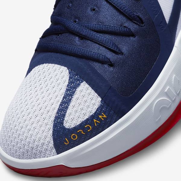 Nike Jordan Zoom Separate Muške Tenisice za košarku Tamnoplave Bijele Crvene Zlatne | NK107QGO