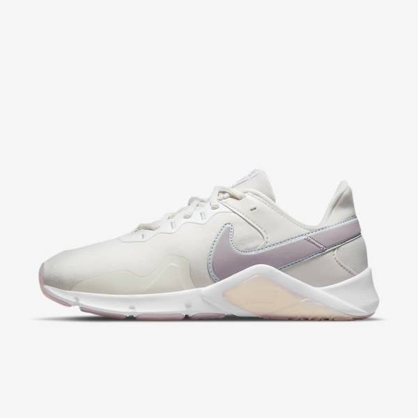 Nike Legend Essential 2 Premium Ženske Tenisice Za Trening Crne Platine Bijele | NK980HJC