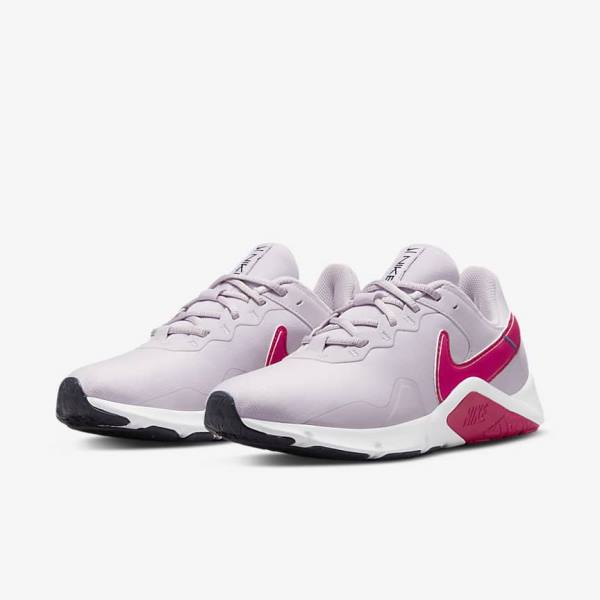 Nike Legend Essential 2 Ženske Tenisice Za Trening Bijele Plave Roze | NK239OPE