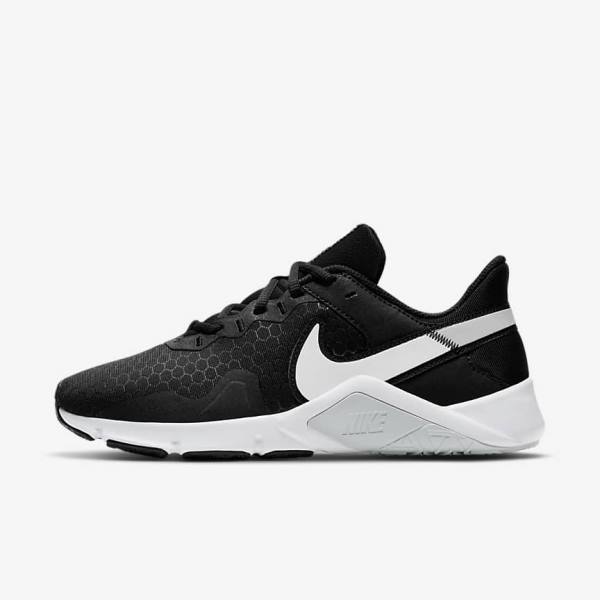 Nike Legend Essential 2 Ženske Tenisice Za Trening Platine Ljubičaste Sive Ljubičaste Bijele | NK856JKO