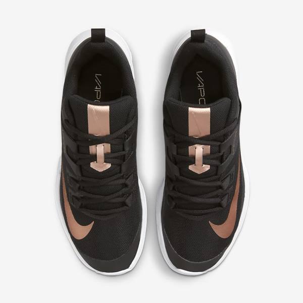 Nike NikeCourt Vapor Lite Hard-Court Ženske Tenisice Za Tenis Crne Bijele Metalne Crvene Smeđe | NK395HYW