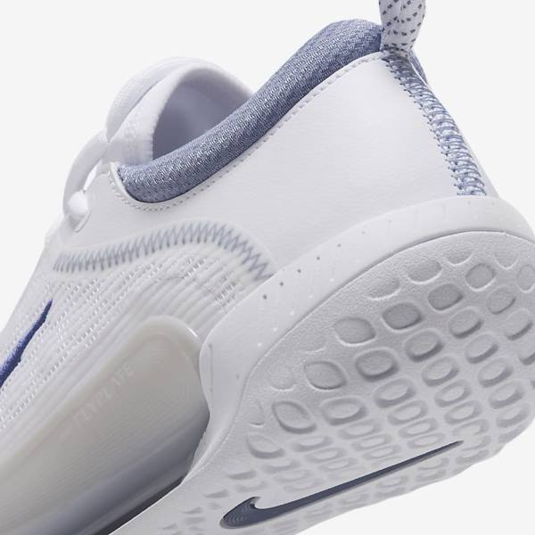 Nike NikeCourt Zoom NXT Hard Court Muške Tenisice Za Tenis Bijele Sive Tamnoplave | NK381KDH