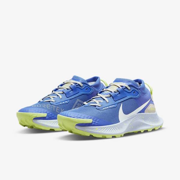 Nike Pegasus Trail 3 GORE-TEX Waterproof Trail Ženske Tenisice Za Trčanje Plave Smeđe Sive | NK086XJD