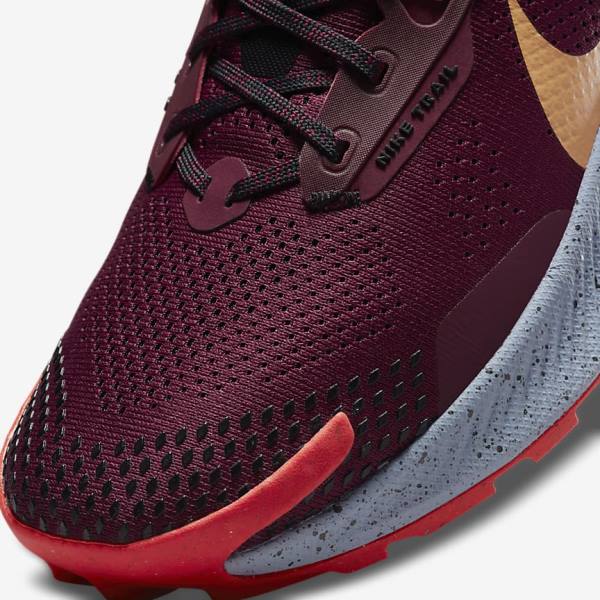 Nike Pegasus Trail 3 Trail Muške Tenisice Za Trčanje Crne Svijetlo Crvene Smeđe | NK281AVT