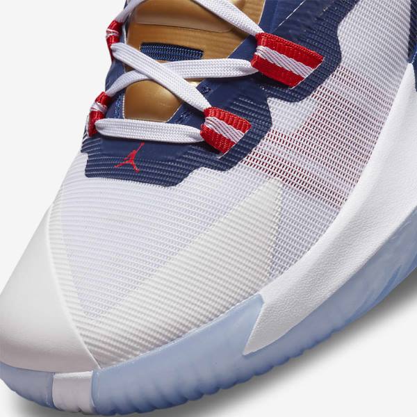 Nike Zion 1 Muške Jordan Tenisice Plave Bijele Metalne Zlatne Crvene | NK710NAZ